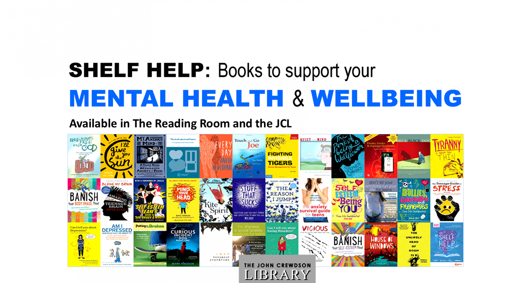 Shelf Help! Ripley St Thomas