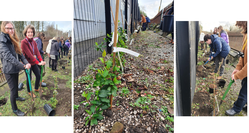 Tony Ripley Climate Ripley Climate Action Alliance create the Living Wall - Ripley St Thomas